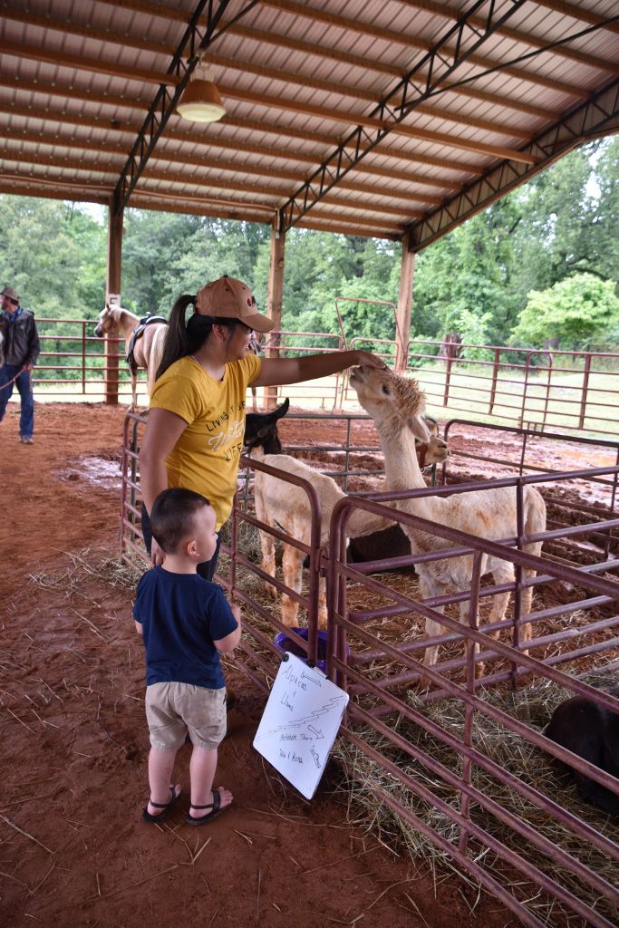 mimosa farm 2019 062 (683x1024).jpg